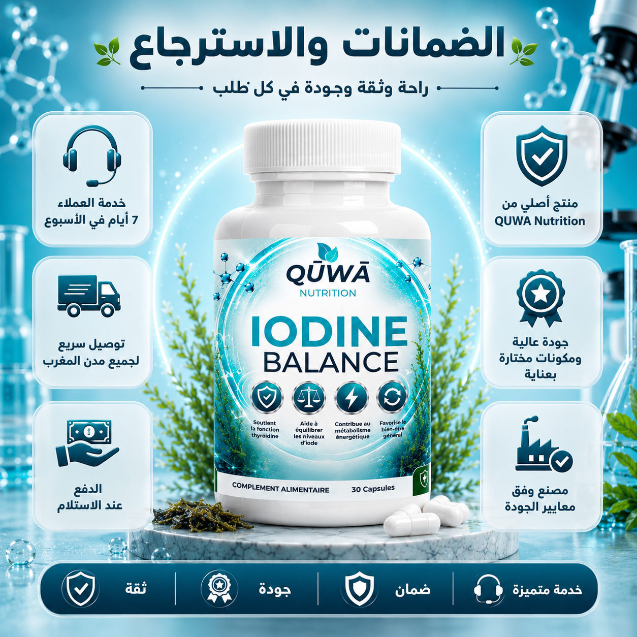 توازن اليود — دعم الغدة الدرقية بطحالب البحر والسيلينيوم وفيتامين B12